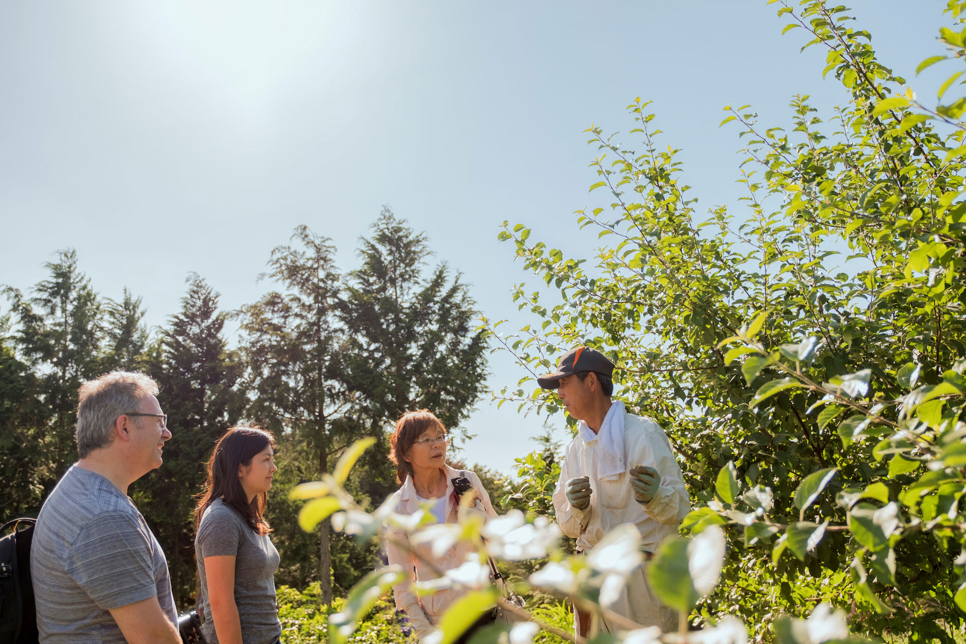 Culture and Agritourism Programs: Amfikaia Farm, Parnassus, Delphi ...